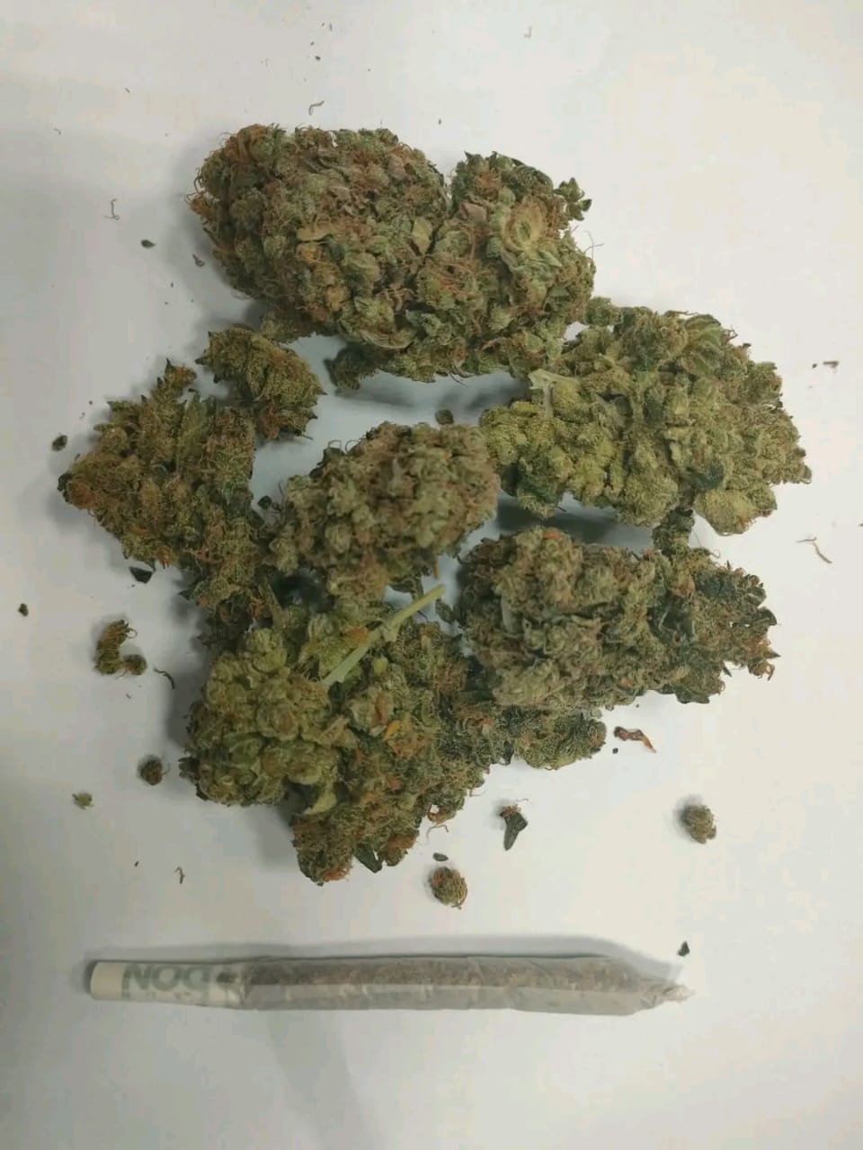 جمارك  مطار الغردقة تحبط محاولة تهريب كمية من الماريجوانا في حقائب راكب ألماني