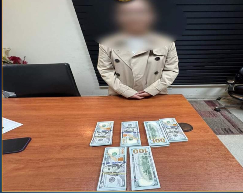ضبط راكبة  أجنبية بحوزتها مبالغ ضخمة من الدولارات في مطار القاهرة الدولي