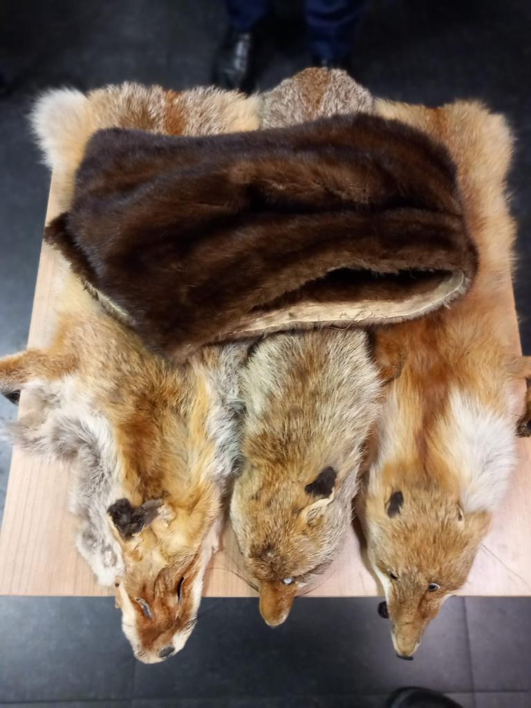 جمارك مطار القاهرة تحرر 20 محضرا لمضبوطات متنوعة