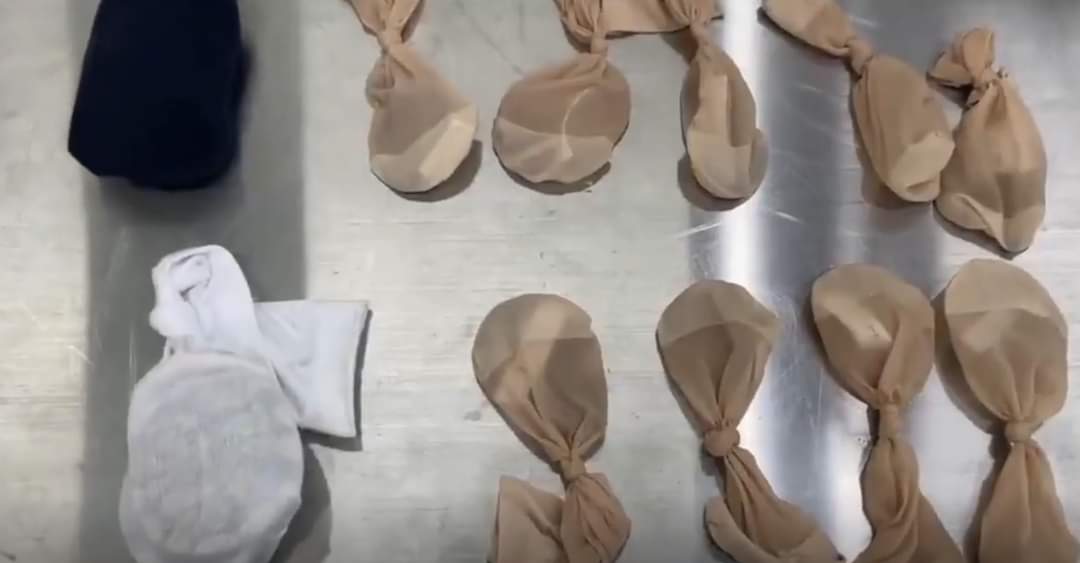 واقعة غريبة.. رجل يحاول تهريب 14 ثعبانا حياً داخل جيوبه من المطار