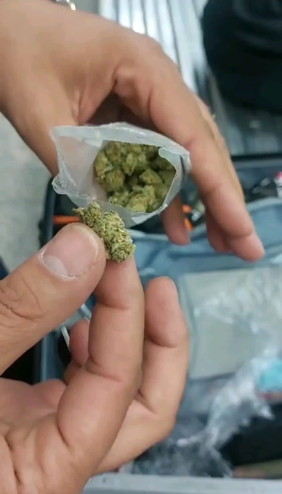 جمارك مطار الغردقه الدولى تضبط كمية من نبات الماريجوانا المخدر