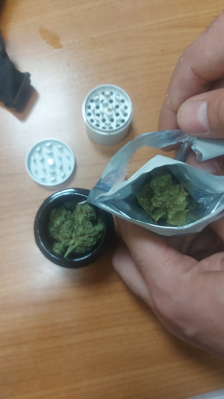 جمارك مطار شرم الشيخ تحبط كمية من نبات الماريجوانا المخدر